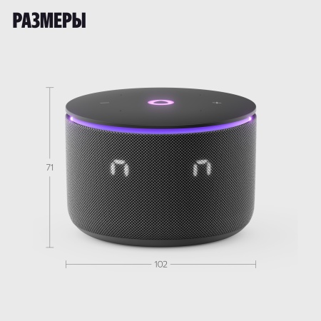 Яндекс Станция Мини 3 Про Черный