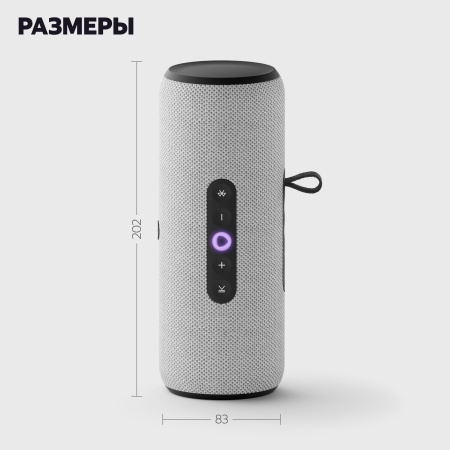Портативная умная колонка Яндекс Станция Стрит с Алисой, Серый