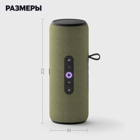 Портативная умная колонка Яндекс Станция Стрит с Алисой, Зеленый