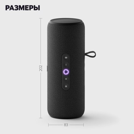 Портативная умная колонка Яндекс Станция Стрит с Алисой, Черный