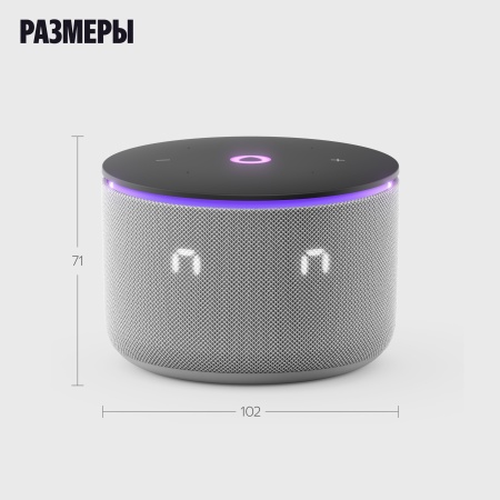 Яндекс Станция Мини 3 Про Серый