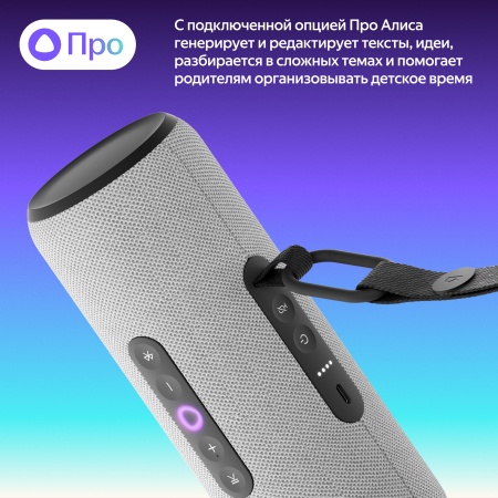 Портативная умная колонка Яндекс Станция Стрит с Алисой, Серый