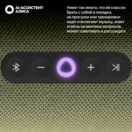 Портативная умная колонка Яндекс Станция Стрит с Алисой, Зеленый