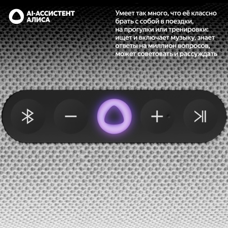 Портативная умная колонка Яндекс Станция Стрит с Алисой, Серый